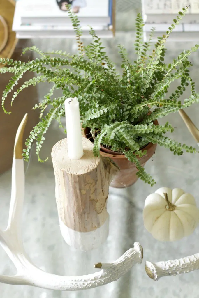 fall coffee table decor styling