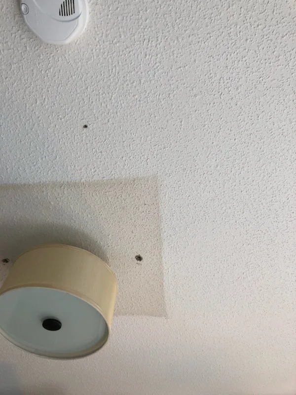 the hack to removing popcorn ceilings fast