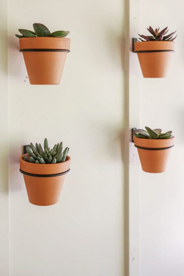 DIY Succulent Planter Gallery Wall for $50 - Simple and Easy Tutorial