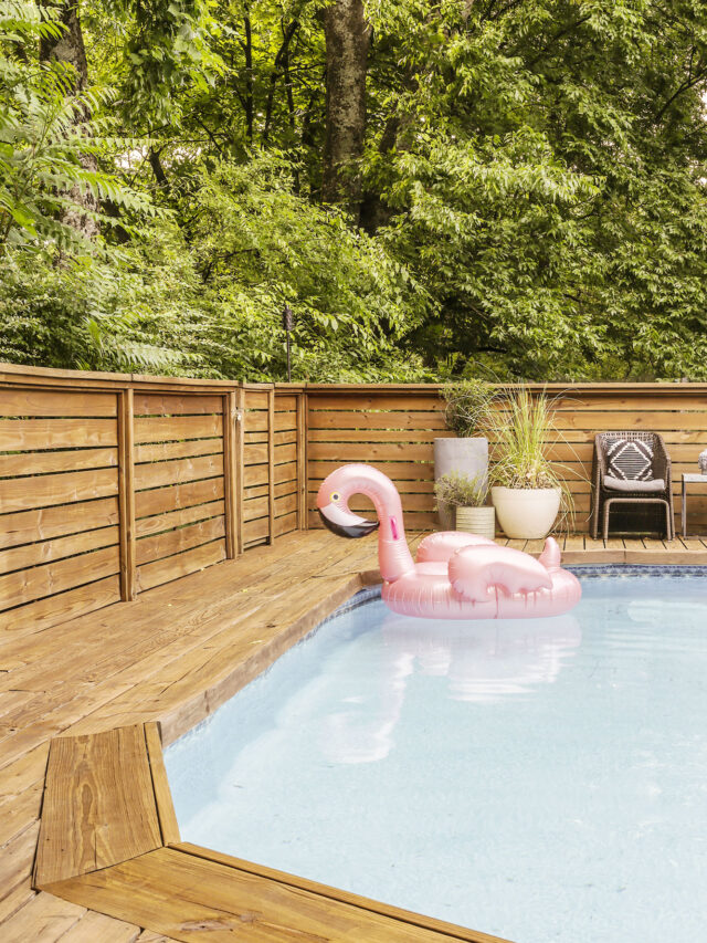 14 Best Backyard Fence Color Ideas for Stain or Paint