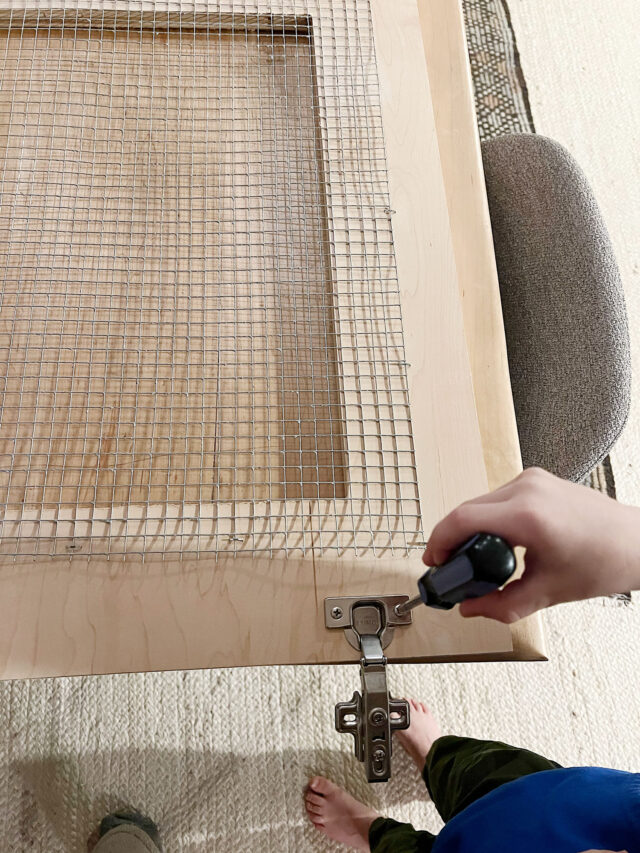 View of How To Build a Wooden Double Dog Crate: DIY Tutorial
