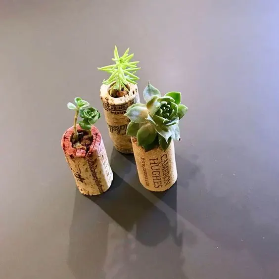 diy succulent planters made from wine corks