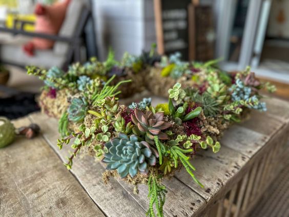 diy wreath made of succulents and moss used as a centerpiece 