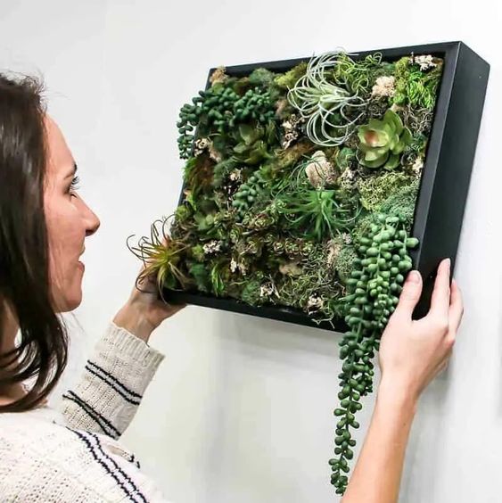 woman hanging a diy succulent planter on wall 