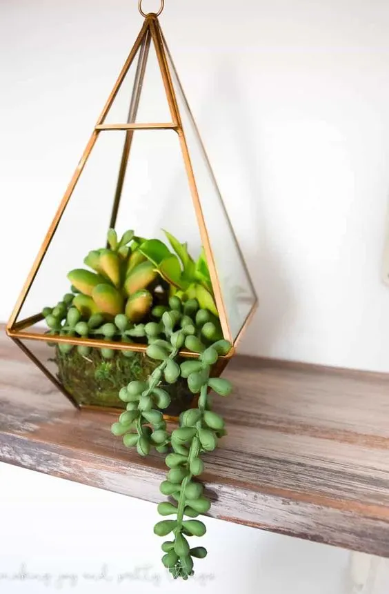 terrarium with succulents planted inside sitting on wood shelf