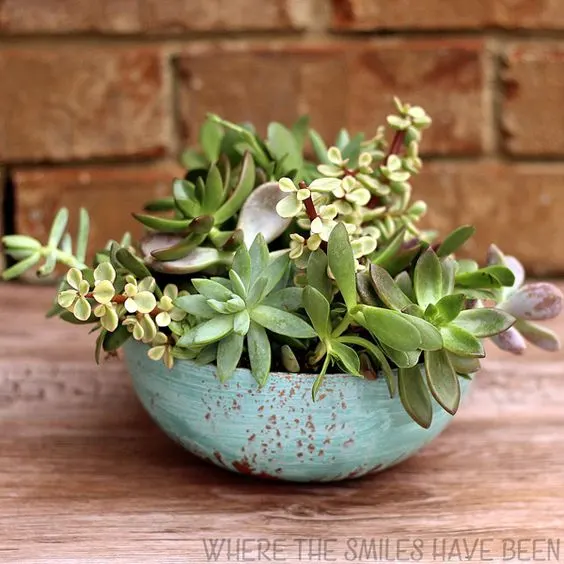 arrangement of succulents in a diy copper planter on a table