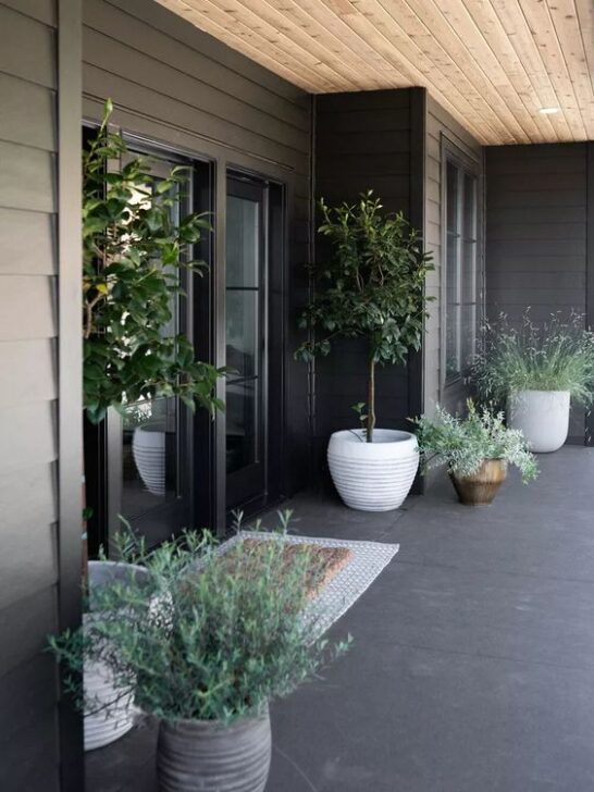 10 Chic Porch Ideas Guaranteed to Elevate Your Outdoor Decorating Game