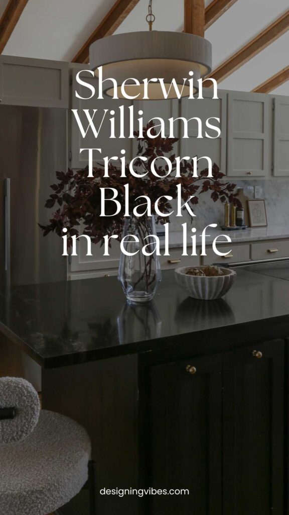 kitchen cabinets painted in tricorn black by sherwin williams in moody modern house