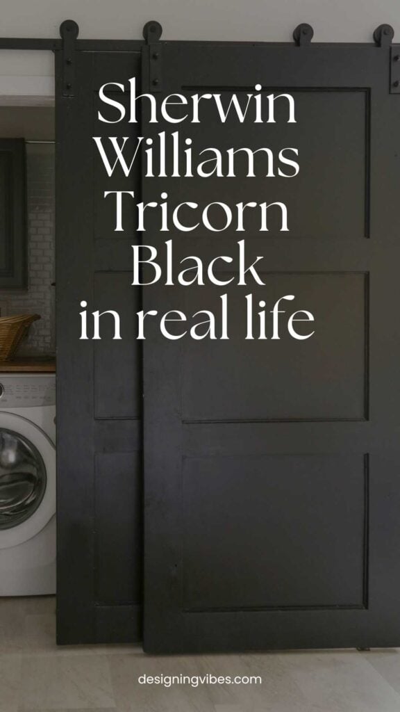 closet doors in laundry room painted tricorn black by sherwin williams