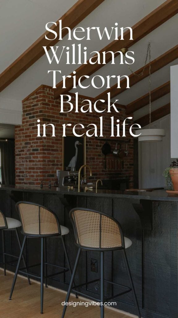 bar painted in Tricorn Black by Sherwin Williams paired with black countertops